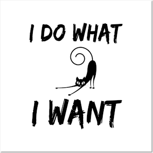 i do what i want Posters and Art